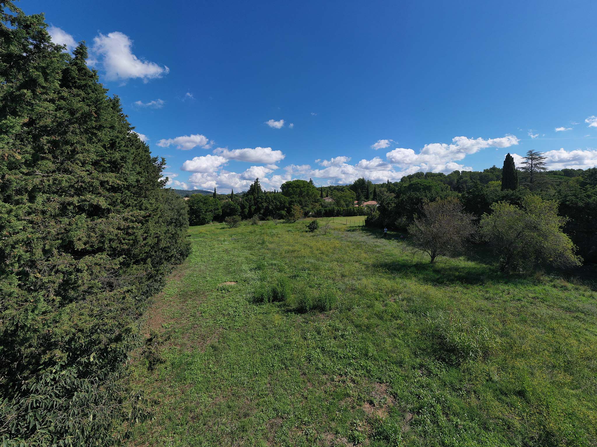Le terrain des Crevelettes bordé d'arbres, au pied des Alpilles